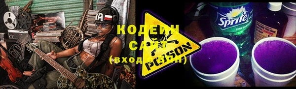 шишки Белая Холуница