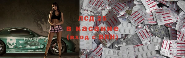 индика Алексеевка