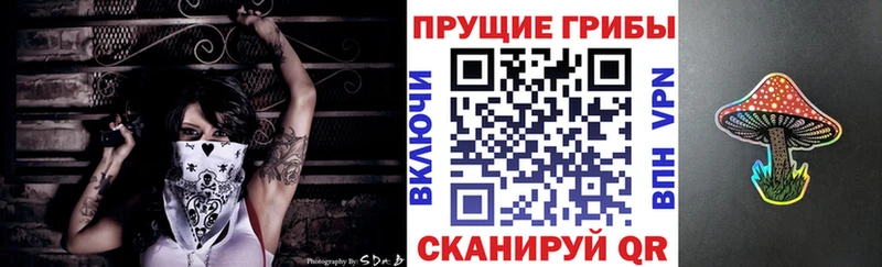 Галлюциногенные грибы Magic Shrooms  Мышкин 