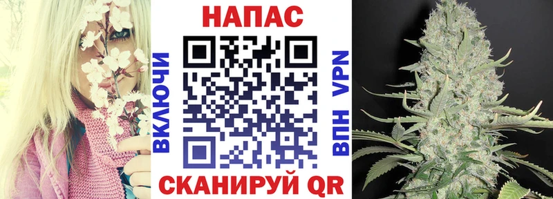 blacksprut зеркало  Мышкин  Бошки Шишки план 